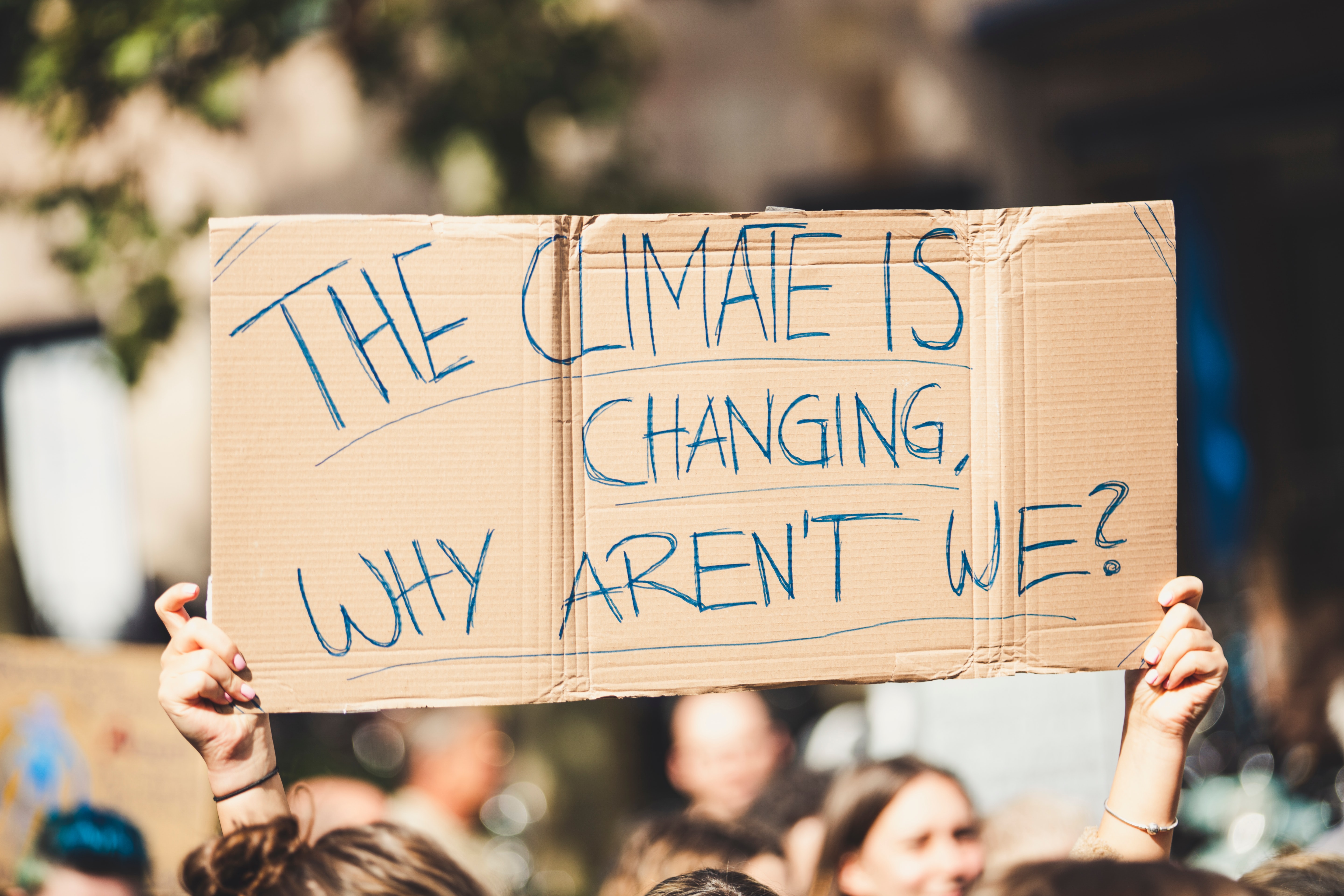 A cardboard sign that reads "The climate is changing, why aren't we?"