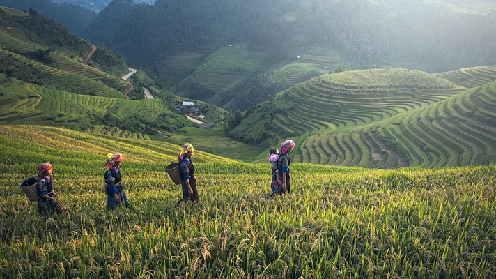 Four women walking through fields and carrying children on their backs.