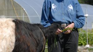 Portrait of Temple Grandin