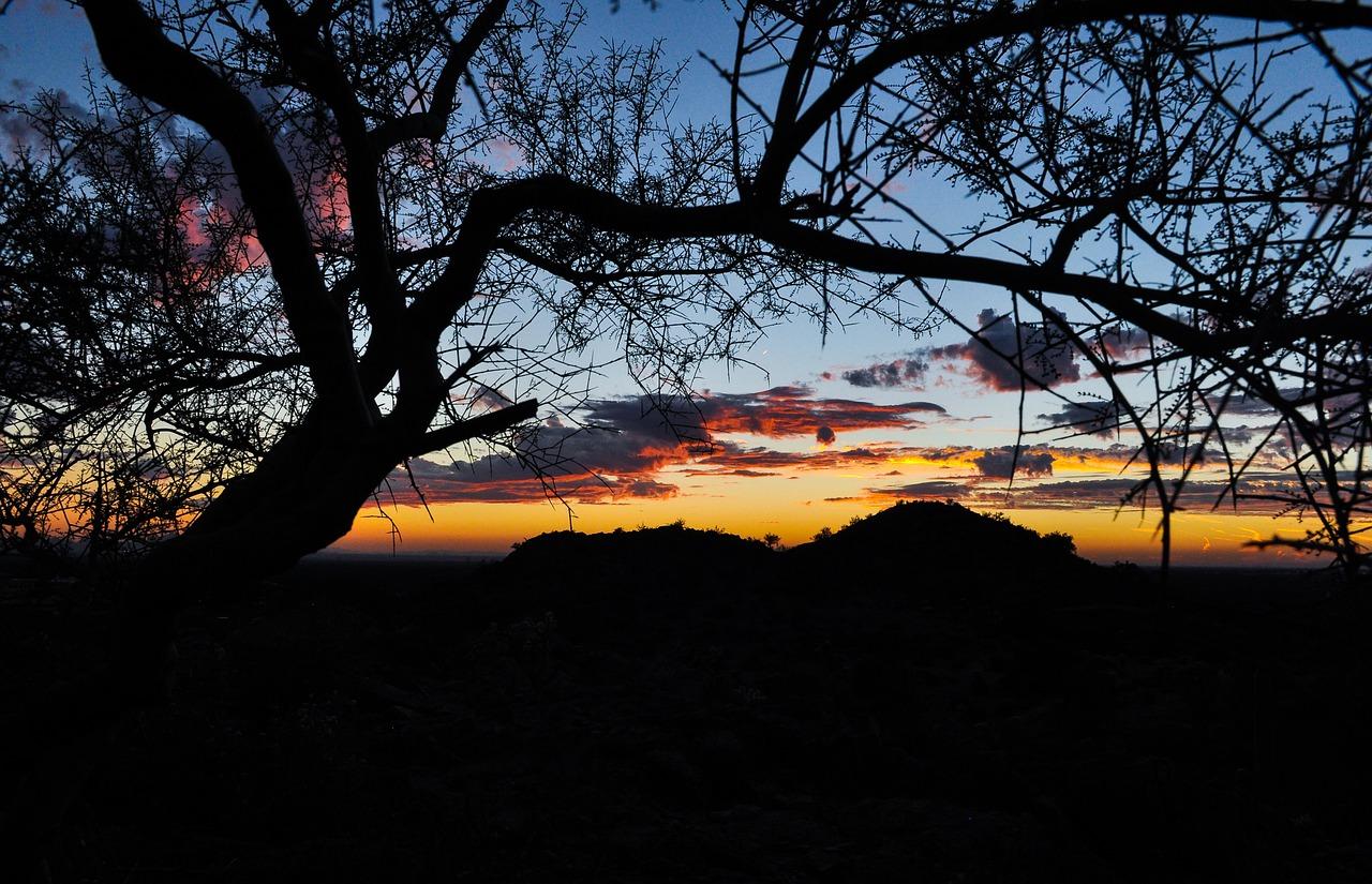 Desert landscape