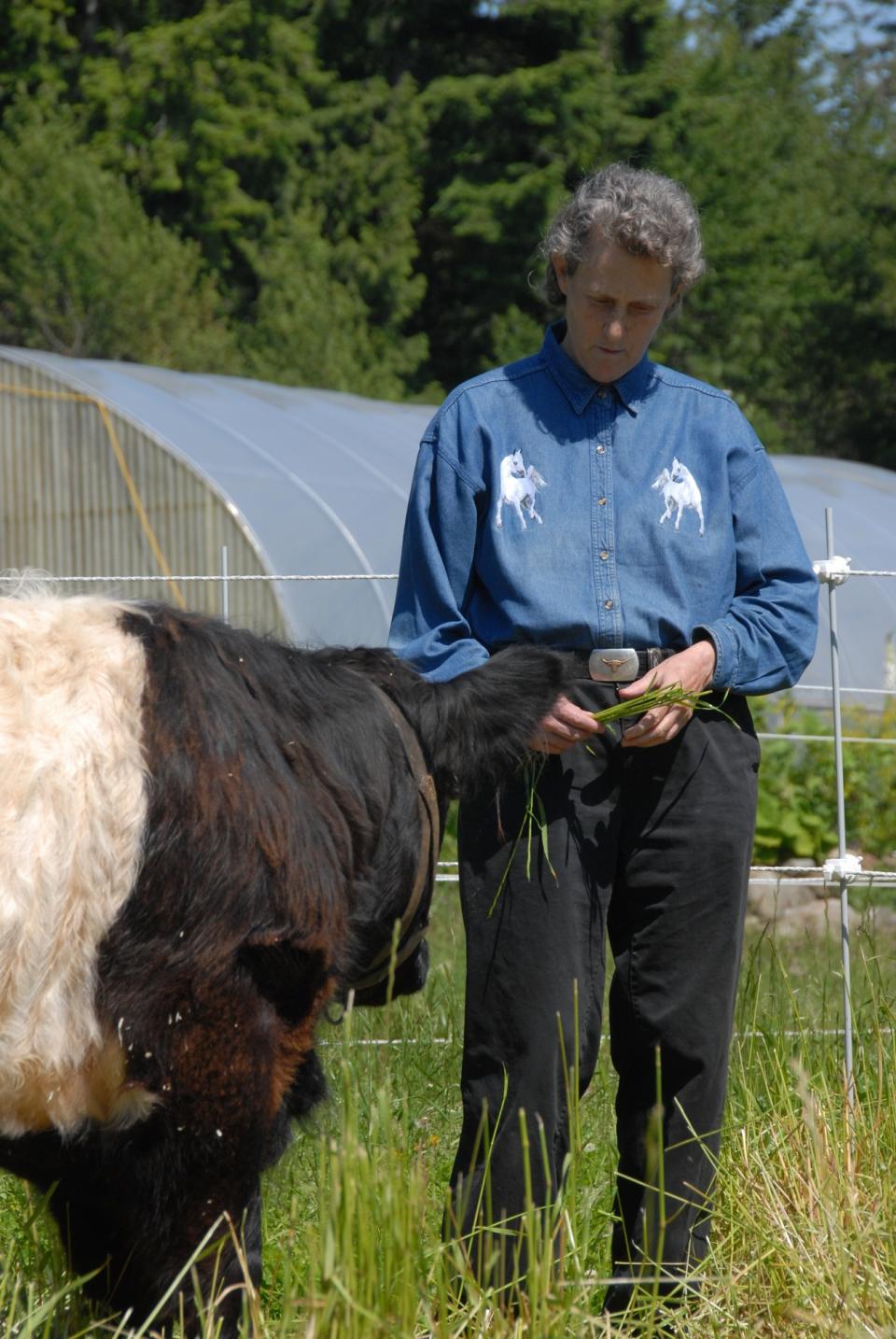 Portrait of Temple Grandin