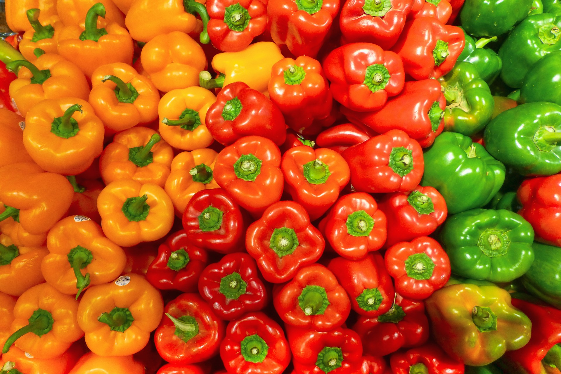 Orange, red, and green peppers