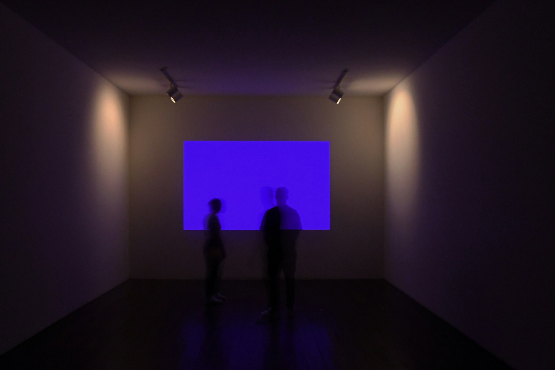 Two people stand in front of a purple screen at a multimedia installation