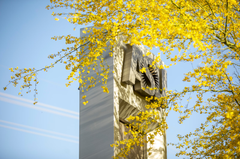 About the Humanities Institute