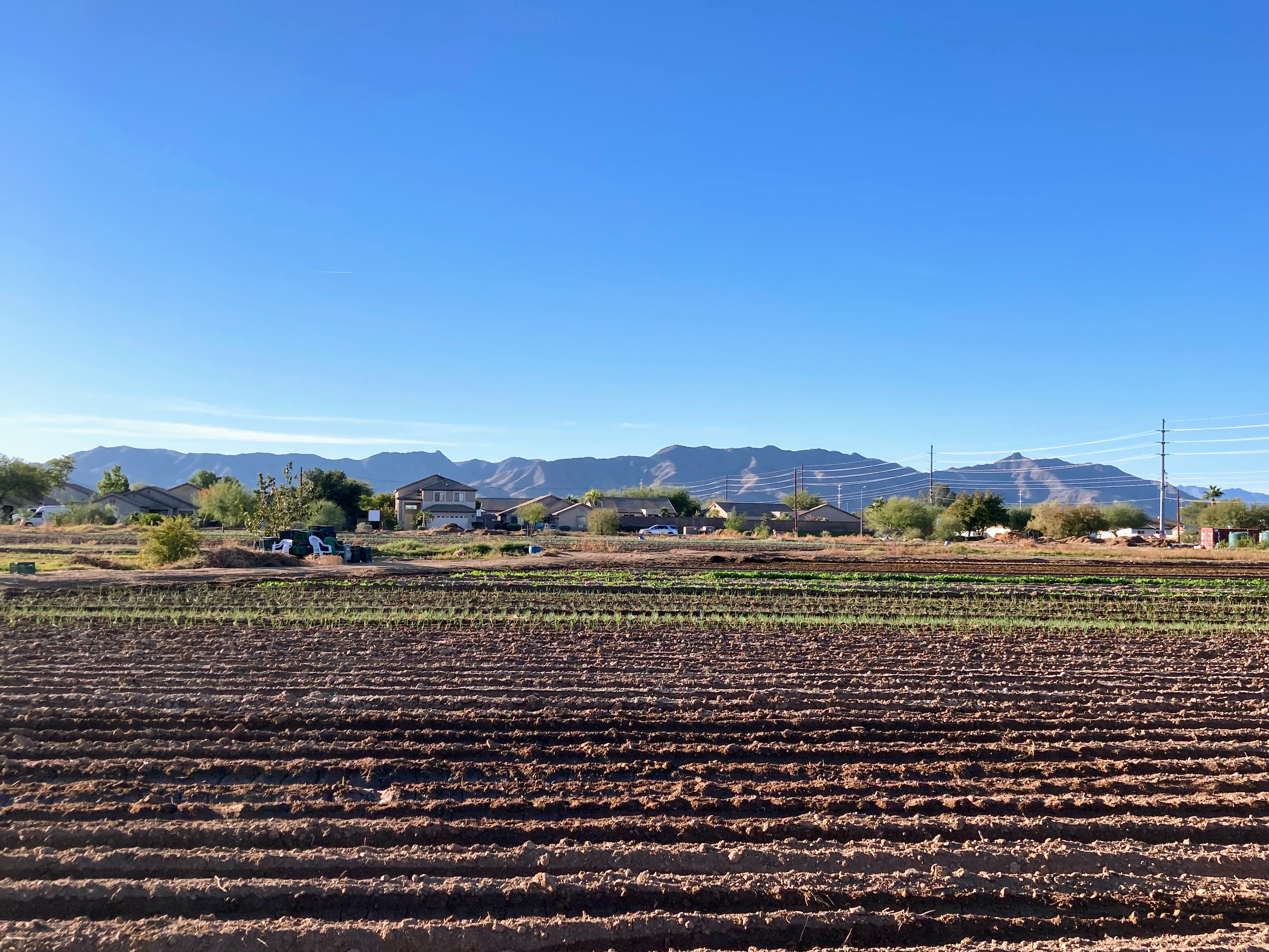 Farmland photo